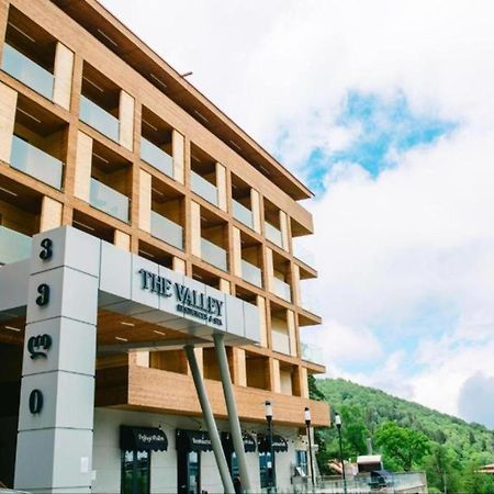 The Valley Residence & Spa Suite 223 Бакуріані Екстер'єр фото